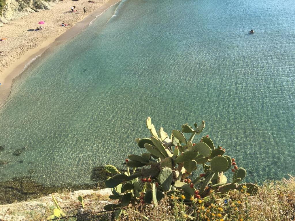 Le Lanterne Di Terrasini Hotel Bagian luar foto